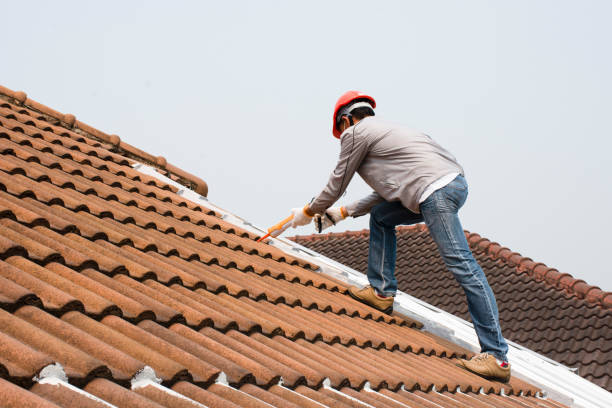 Best Tile Roofing Installation  in Tton, IL